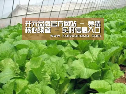 种植基地一