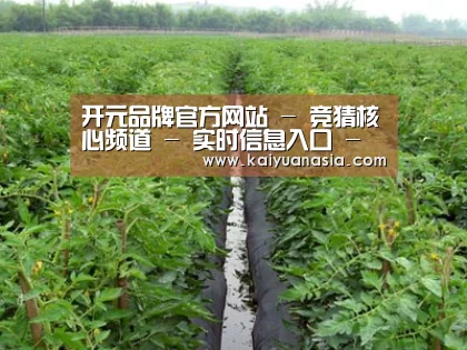 种植基地三