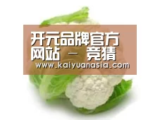产品名称九