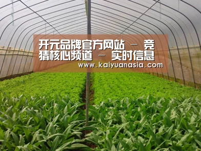 种植基地四