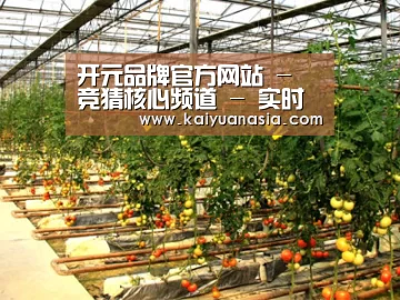 种植基地二(图1)
